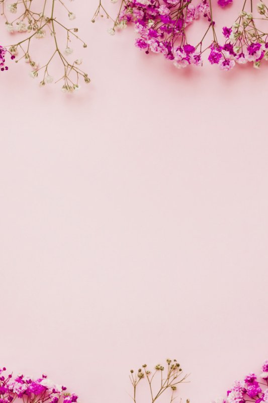 Красивый розовый фон для текста