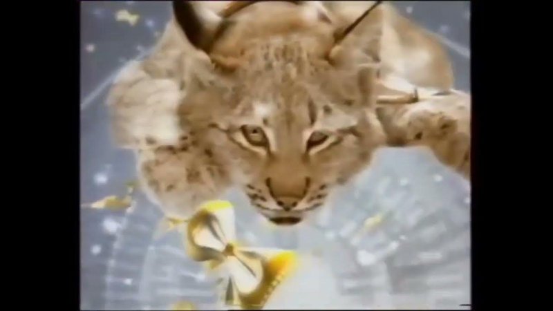 Заставки СТС 2004-2005