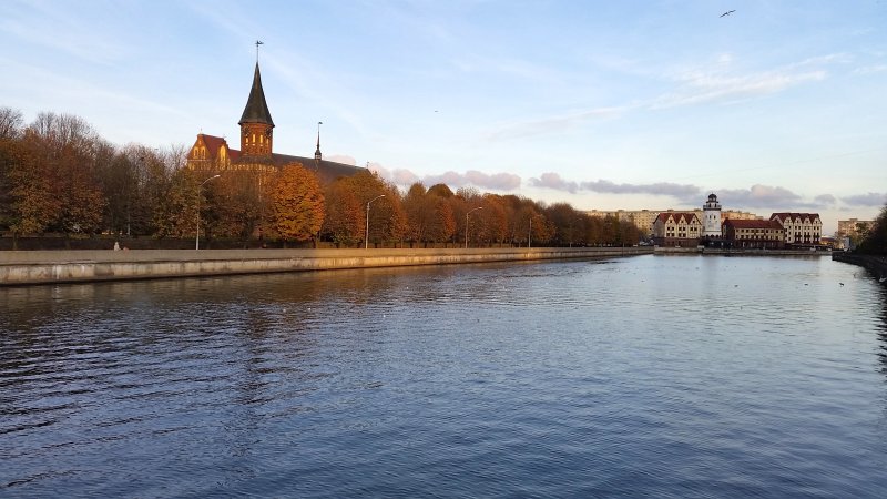 Кафедральный собор Калининград