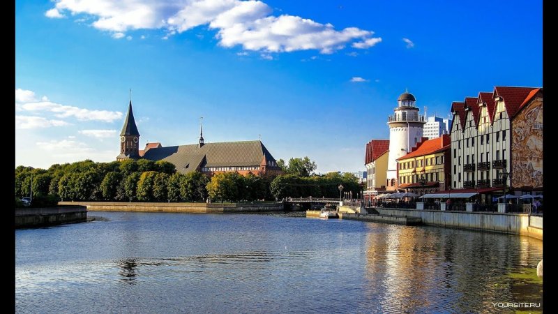 Кафедральный собор Канта Калининград