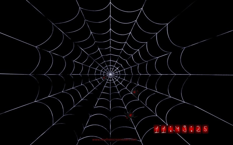 Паутина на заставку