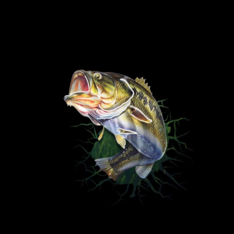 Заставка на телефон рыбалка