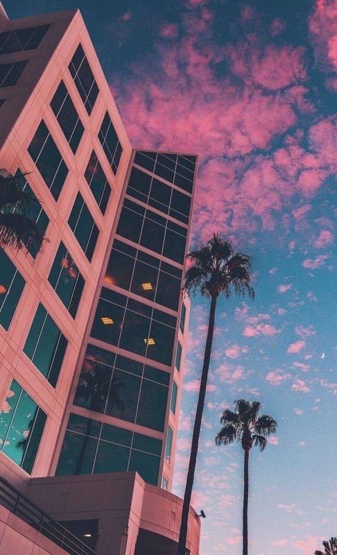 Эстетика Бич