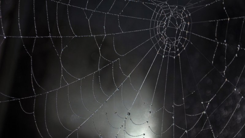 Стол паутина