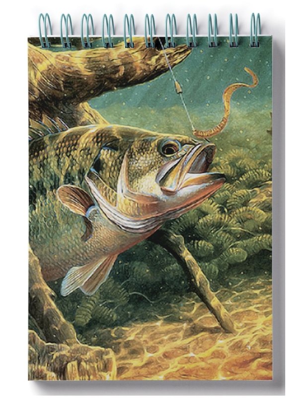 Красивая Речная рыба