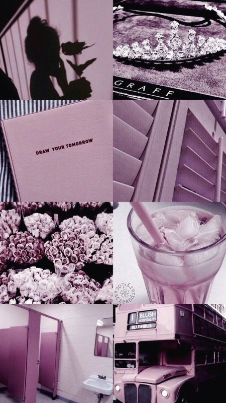 Эстетика высокого качества