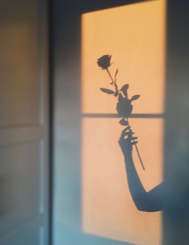 Тень с цветами Эстетика