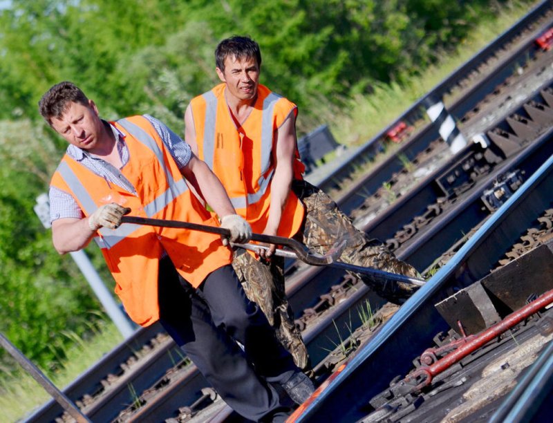 Путейцы (путевые обходчики)
