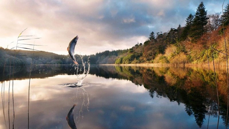 Обои на рабочий стол рыбалка