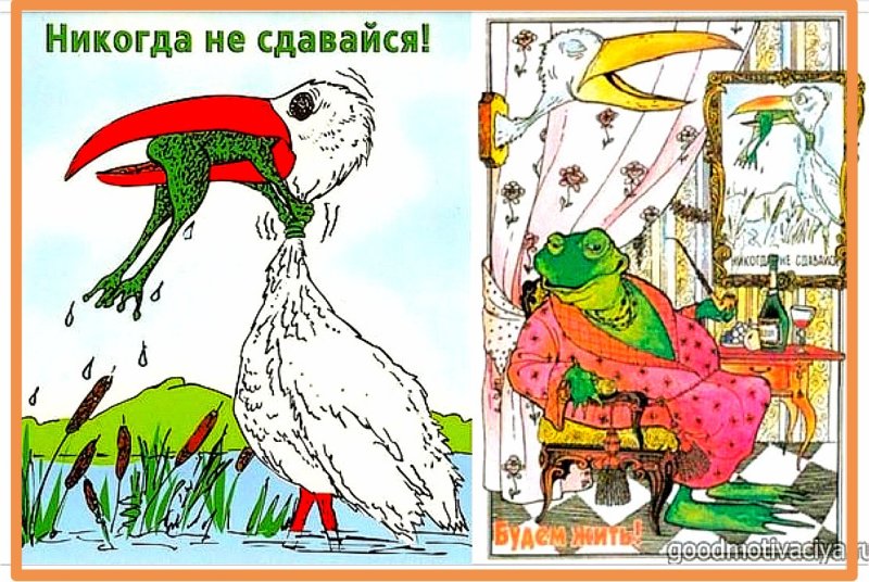 Никогда не сдавайся!