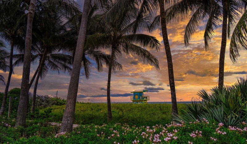 Флорида Майами 4к