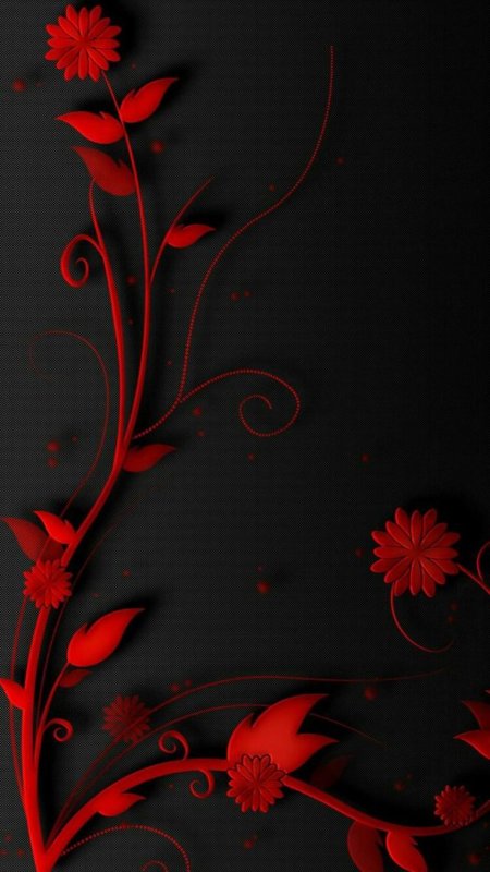 Яркие цветы на черном фоне