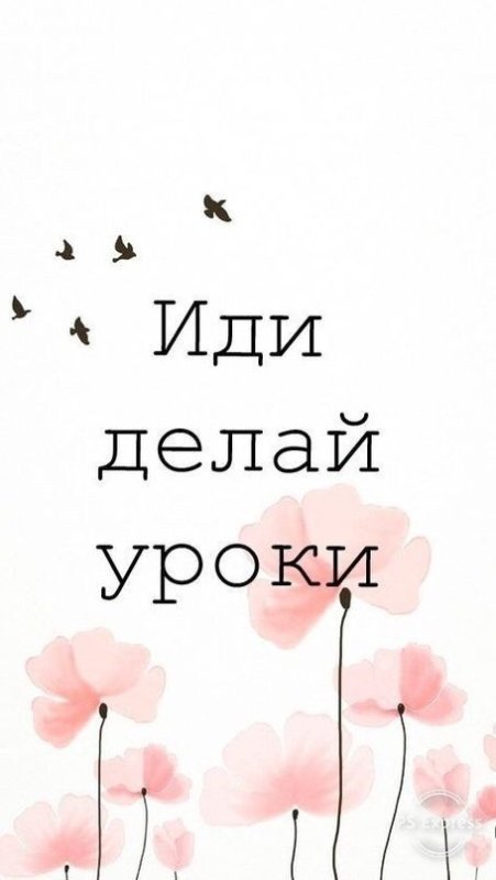 Милый фон для телефона с надписями