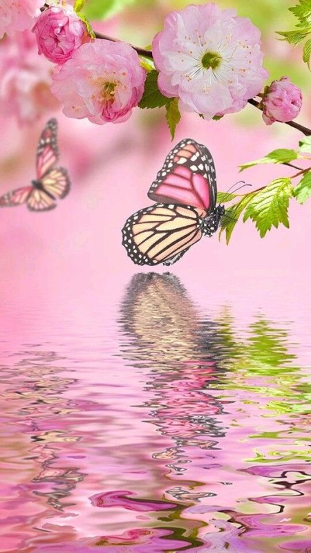 Красивые весенние цветы и бабочки