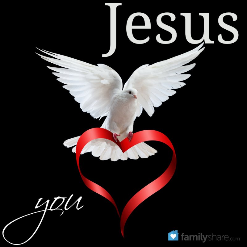 Сердце голубя