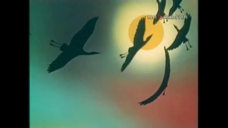 В мире животных телепередача заставка