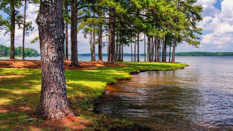 Озеро Селигер Сосновый Бор