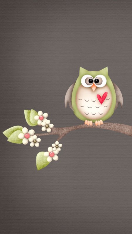 Совы мультяшные