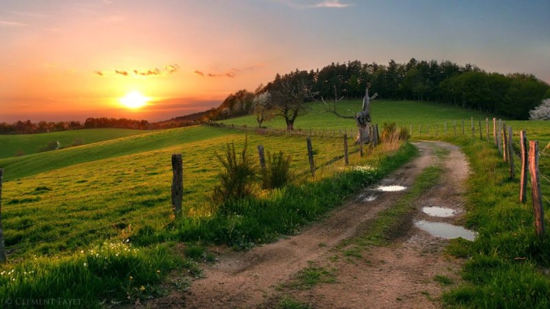 Деревенская природа