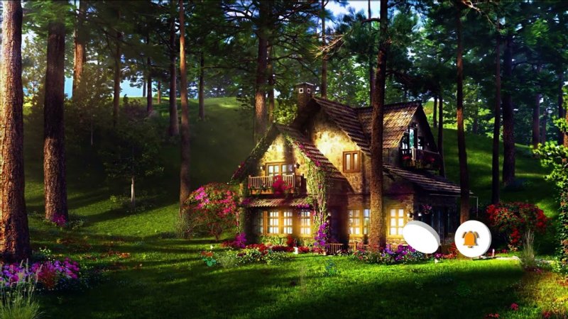 Домик Форест Хаус