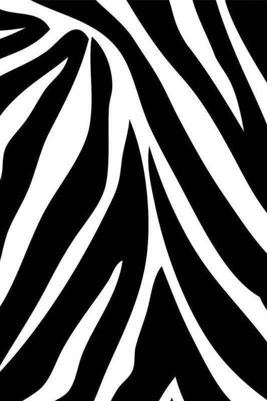 Заставка Зебра