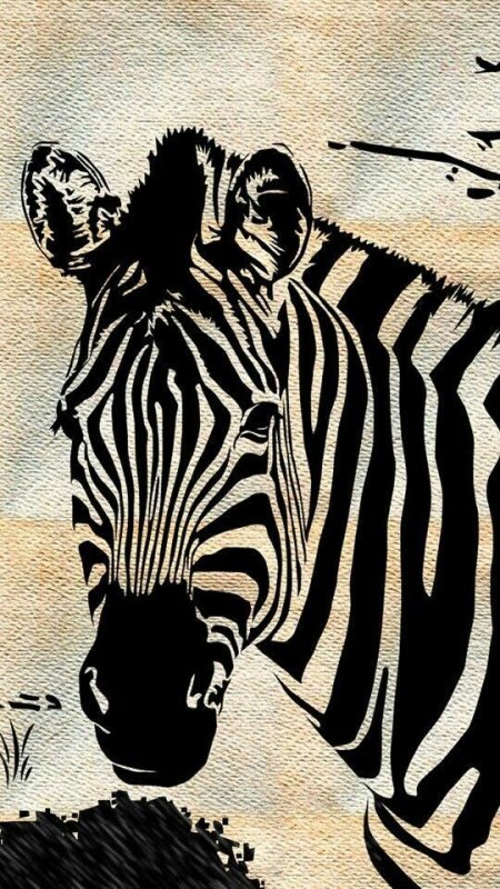 Заставка Зебра