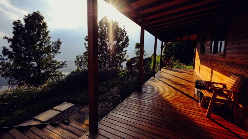 Вид с террасы на лес