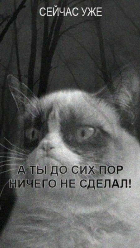 Обои на телефон уже а ты