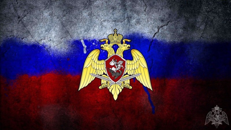 Флаг ВНГ РФ