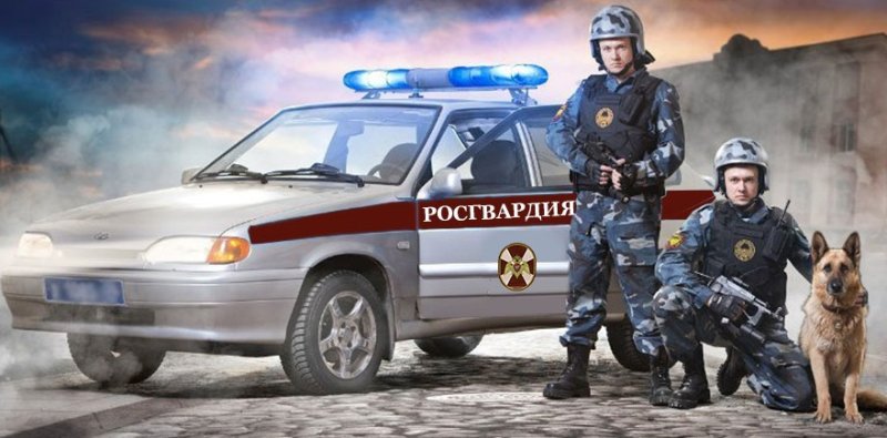 Вневедомственная охрана ВНГ РФ