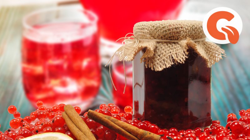 Заставка компота