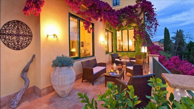 Растения для террасы