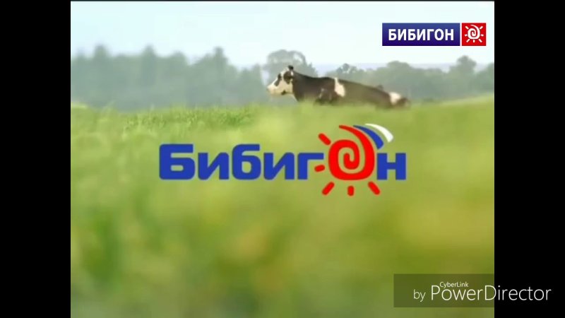 Бибигон Телеканал