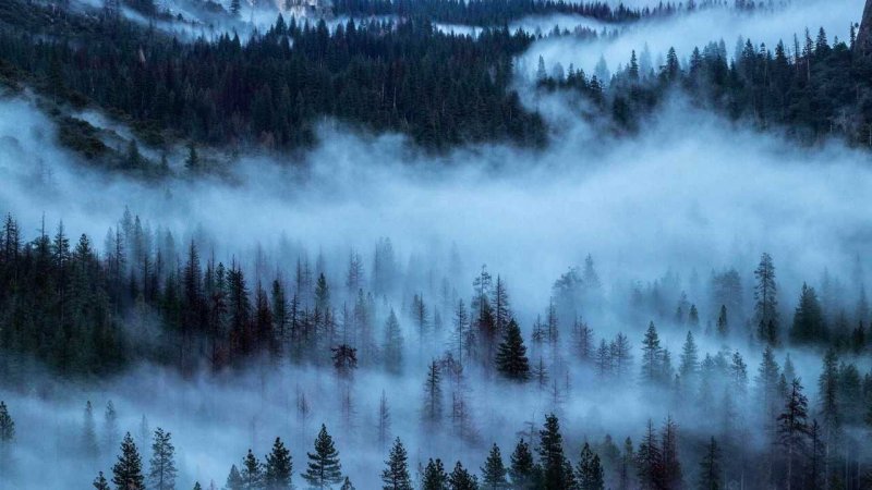 Природа туман