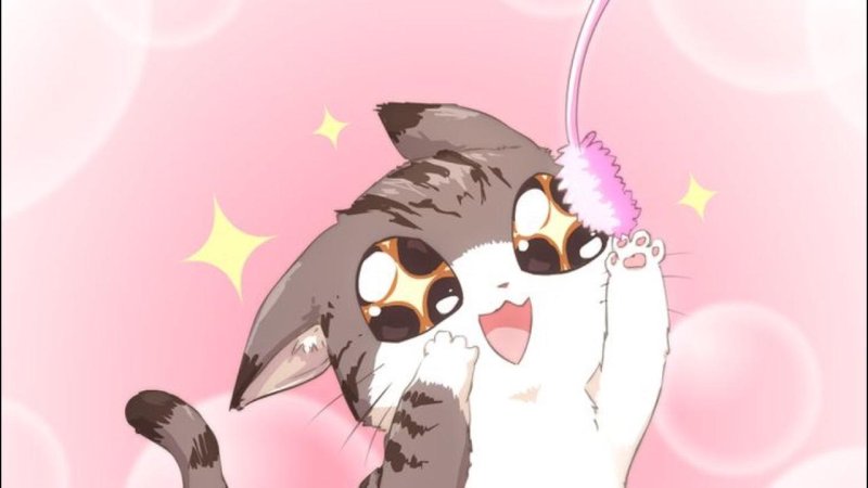 Аниме котики