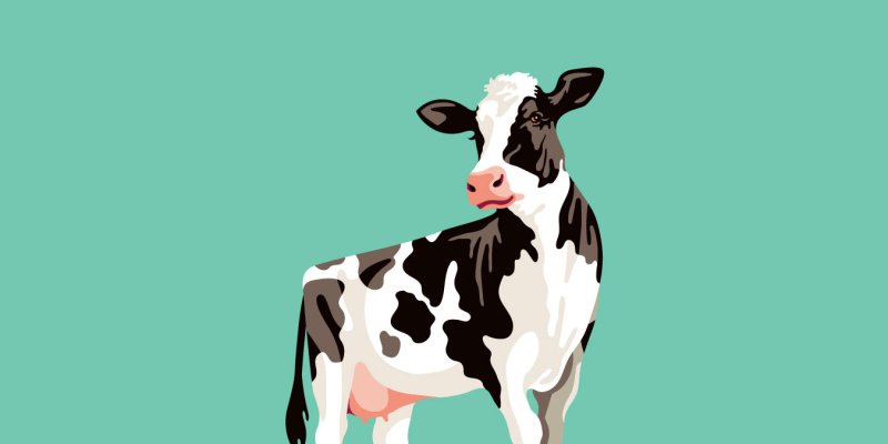 Фон коровы