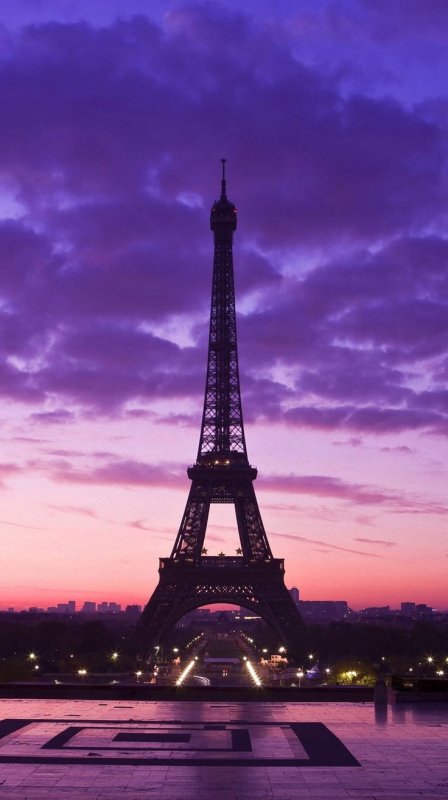 Париж на фоне эльфивой башни