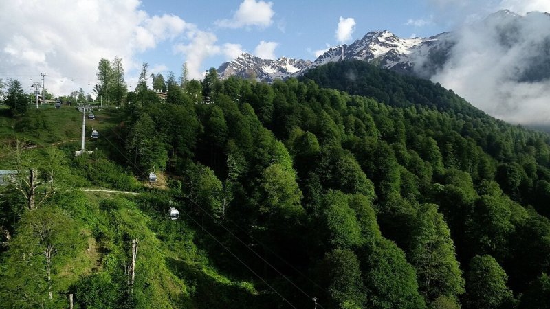 Красная Поляна Сочи летом