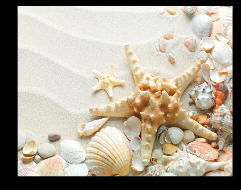 Морская звезда