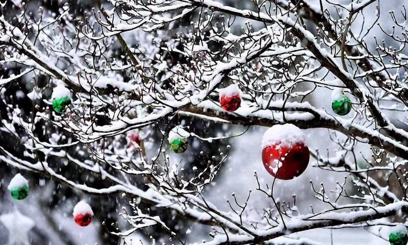 Зима новый год