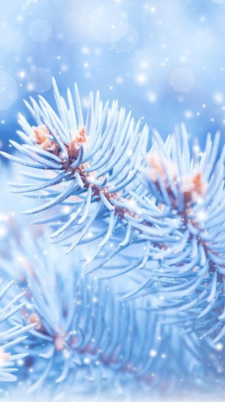 Зимние заставки на телефон