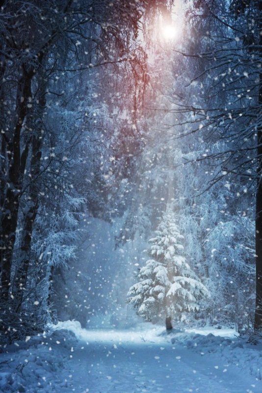 Зимний пейзаж вертикальный