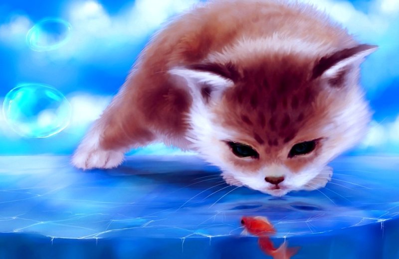 Обои с котятами