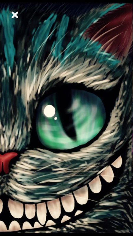 Улыбка Чеширского кота