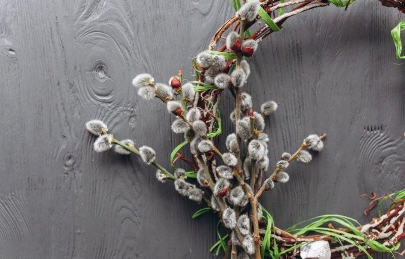 Верба на Вербное воскресенье