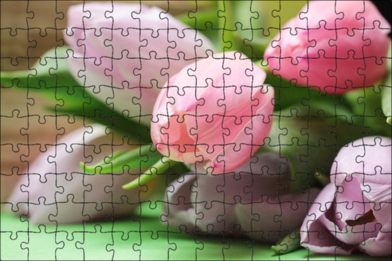 Красивые тюльпаны