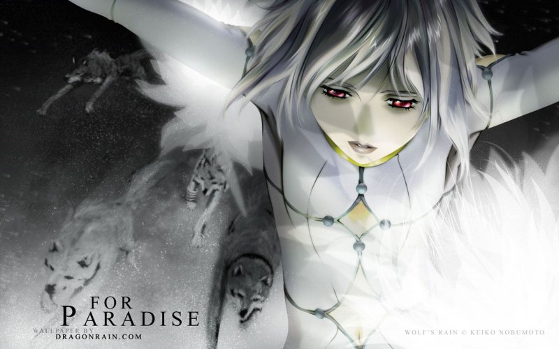 Волчий дождь обои