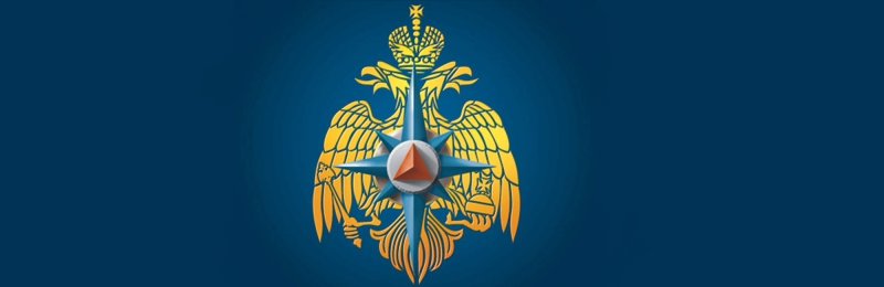 Министерство чрезвычайных ситуаций России (МЧС РФ)