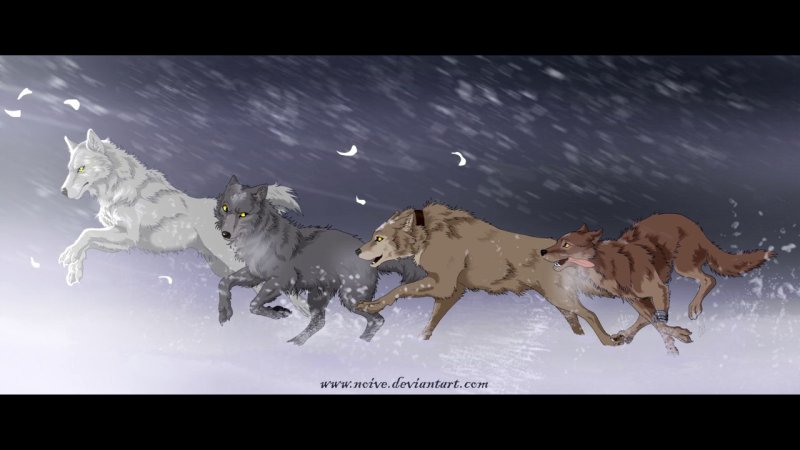 Волчий дождь мультсериал 2003–2004