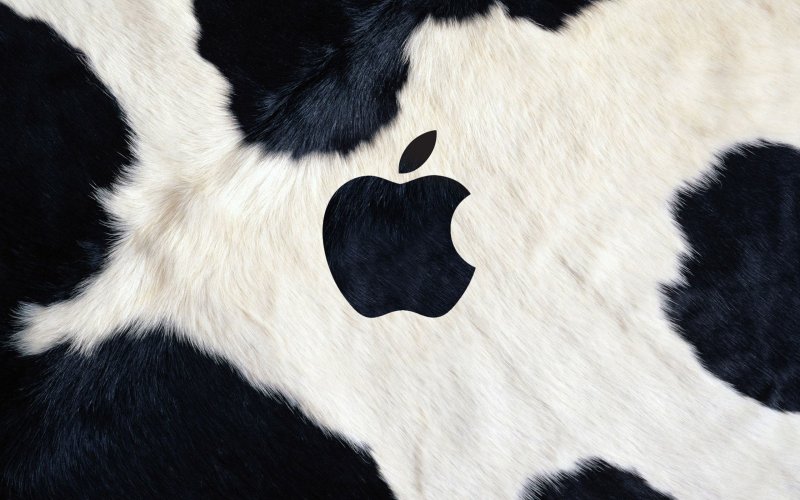 Пятна коровы